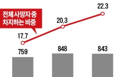 고령 운전자, 조건부 면허제 추진