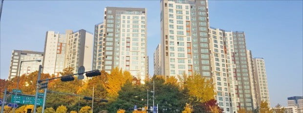 서울 일원동 '래미안 개포 루체하임' 아파트 전경 /한경DB 