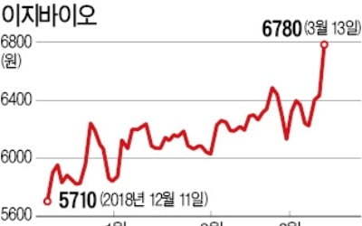 이지바이오, 中 돼지콜레라 확산에 '수혜 나비효과'?