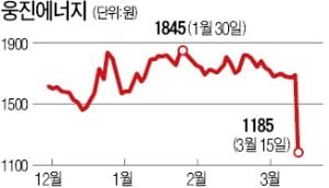 '재무구조 악화' 웅진에너지, 감자에 하한가 추락