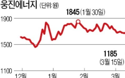 '재무구조 악화' 웅진에너지, 감자에 하한가 추락