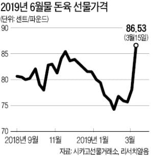 中 돼지열병, 美·中 무역전쟁 완화 기대에 웃는 돈육株