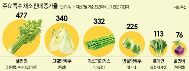"한국에 이런 맛은 없었다"…특수채소 열풍