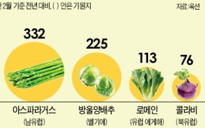 "한국에 이런 맛은 없었다"…특수채소 열풍