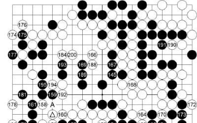 [제23기 하림배 여자국수전] 黑, 역전