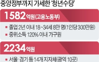  '묻지마 청년수당' 올해만 3800억 뿌린다