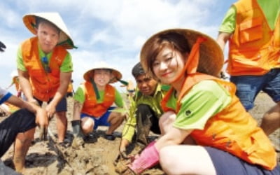 SK이노베이션 '맹그로브 숲 복원' 봉사