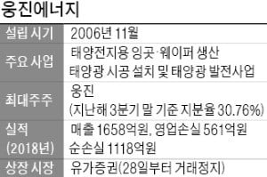 감사 '의견거절' 웅진에너지, 사채 원리금 750억 미지급