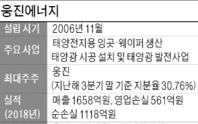 감사 '의견거절' 웅진에너지, 사채 원리금 750억 미지급