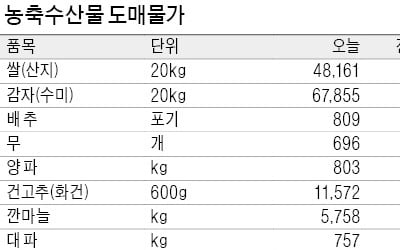 중국산 수입금지 조치에 당근값 1주새 268원 뛰어