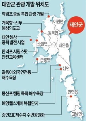 해양 헬스케어·풍력발전…바다 활용한 해양생태도시로 탈바꿈