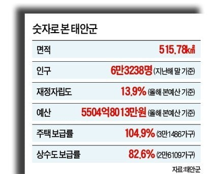 해양 헬스케어·풍력발전…바다 활용한 해양생태도시로 탈바꿈