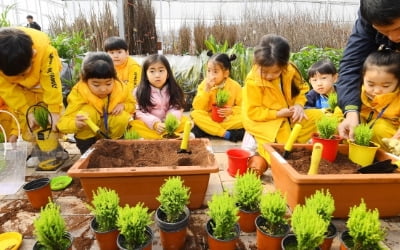 산림조합 나무시장 개장