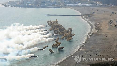 '상륙능력 연마' 4월 韓美쌍룡훈련 한국군 단독으로 한다