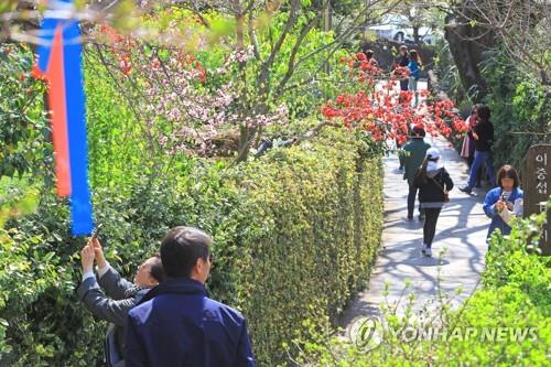 꽃샘추위·눈·비 '궂은 날씨'에도 전국 봄나들이 인파