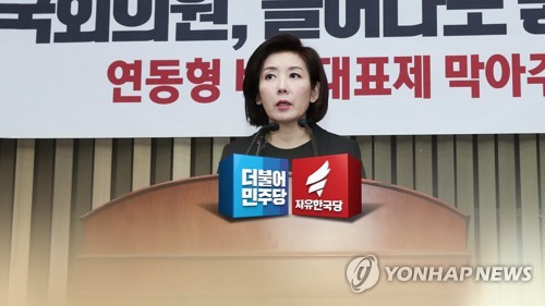 민주 "나경원 '반문특위' 해명, 치졸한 궤변…국민 우스운가"