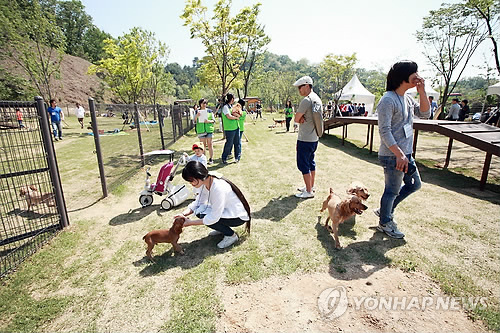 애견 산책코스도 발길 '뚝'…미세먼지에 동물도 힘들다