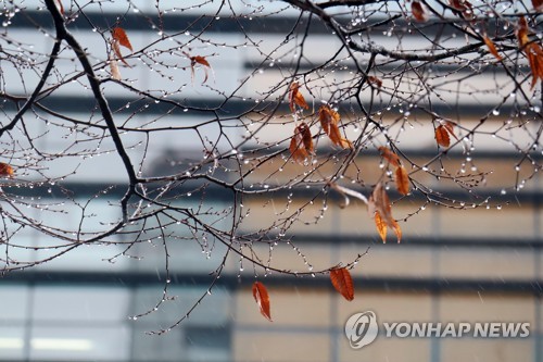 전국 오후부터 비 또는 눈…미세먼지 없는 하늘