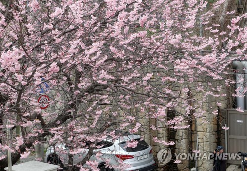 중국·서풍 탓 서울 미세먼지 연일 '매우나쁨'…부산은 '보통'