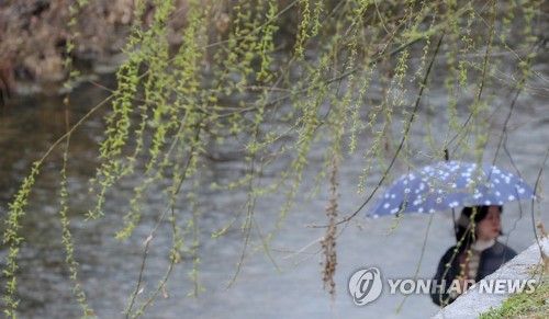 '춘분' 봄비 그치고 낮부터 찬바람…미세먼지 '보통'