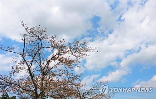 '공기 안좋다'는 인식 6년만에 배증…82% "미세먼지 불안"