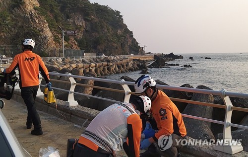 강릉서 승용차 바다에 추락…대학생 등 10대 5명 숨져