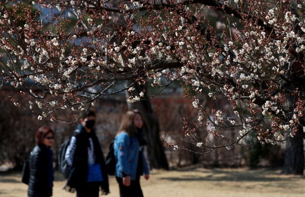 사진=연합뉴스