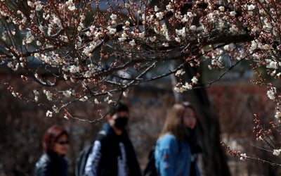 [오늘 날씨] 아침·낮 기온차 10~20도 큰 일교차…초미세먼지 보통