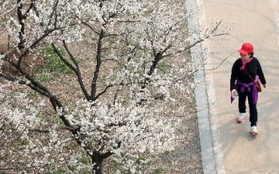 주말도 꽃샘추위…전국 낮부터 눈·비