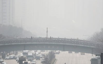 애견 산책코스도 발길 '뚝'…미세먼지에 동물도 힘들다