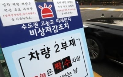 환경재단 "민간차량 2부제·재택근무…미세먼지 특단대책 필요"