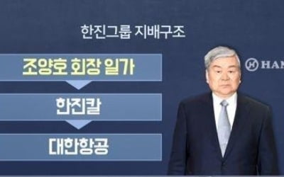 조양호 회장 숨겨놓은 한진칼 지분 있나…KCGI 의혹 제기