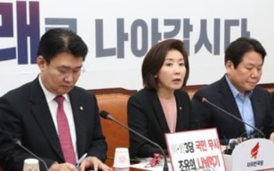 나경원 "대통령 분권 없는 선거법 개정은 독재국가 시도"