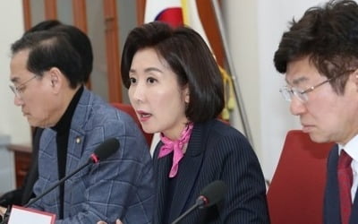 나경원 "비례대표 폐지·의원정수 270석"…한국당안 제시