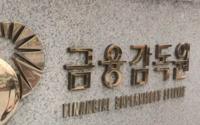 금감원, AI·빅데이터로 금융사 상시감시…오토론 테마검사