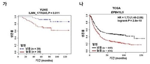 전이성 위암 발병 핵심인자 발견…치료법도 제시(사진=연합뉴스)