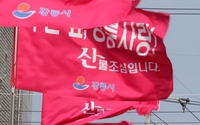 [날씨] 맑고 포근한 봄 날씨 계속…"건조하고 센 바람에 불조심"