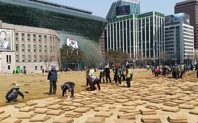 서울광장, 새 잔디 입는다…내달 26일까지 출입 통제