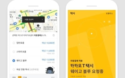 "승차거부·사납금 없다"…카카오 참여 '플랫폼 택시' 첫선