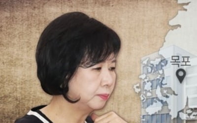 시민단체, 손혜원 '부동산실명제법 위반 혐의' 경찰 고발