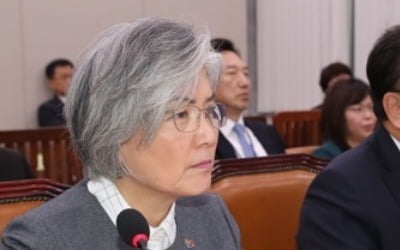 강경화 "日전범기업 제품제한, 외교관계 고려해 신중 검토돼야"