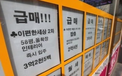 인구 50만 붕괴 위기·아파트 1억↓…포항시 인재(人災)에 휘청