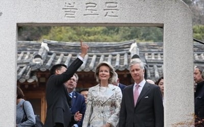 문 대통령, 벨기에 국왕과 정상회담…한반도평화 지지 당부할 듯