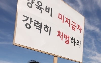 양육비해결모임, '양육비 미지급 제재 강화법안' 처리 촉구