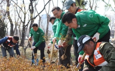 하이트진로 '아름다운 숲' 조성…김인규 대표, 임직원 참석