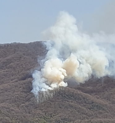 분당 산불, 서울대병원 야산 활활…"화재 진압 중, 헬기 동원"