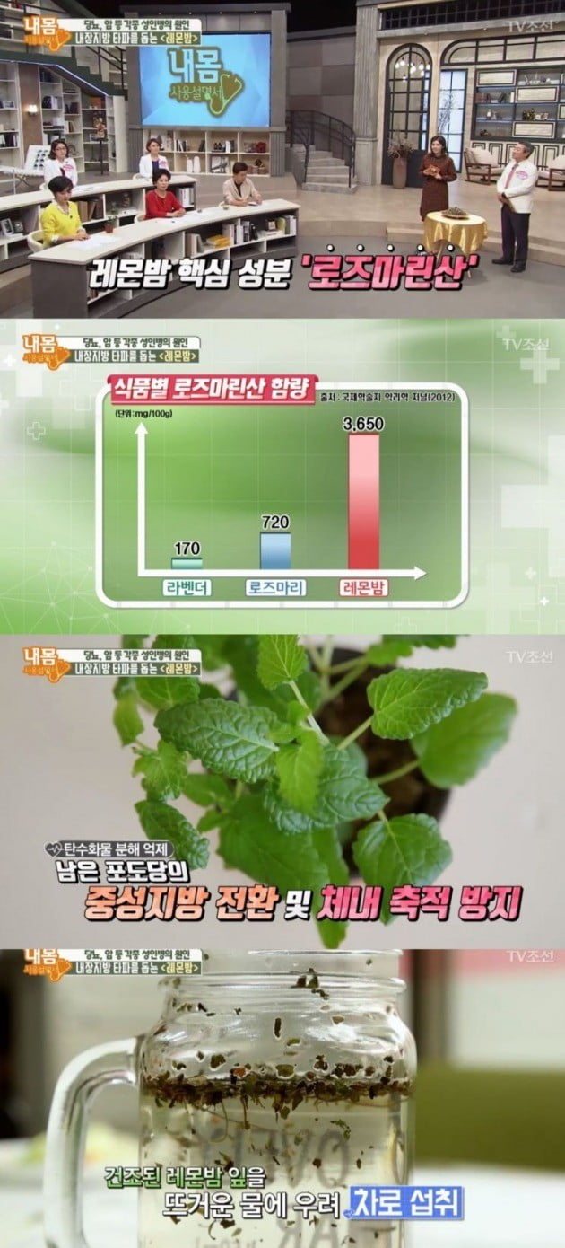 레몬밤 / 사진 = TV조선 '내 몸 사용 설명서' 방송화면