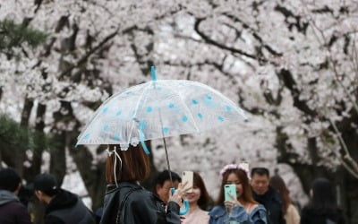 "우산 챙기세요" 내일 카지노 룰렛 룰에 봄비…오후 들어 그칠 듯