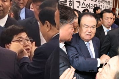 '사보임' 뭐길래…한국당 의원들 난투극…임이자 "문희상이 성추행"