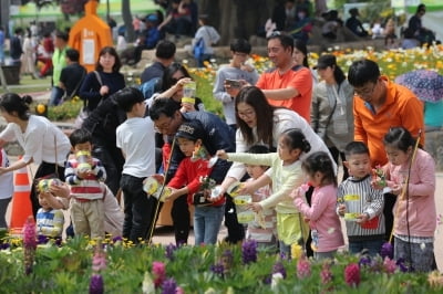 "'나비 천국' 함평으로 오세요"…나비대축제 26일 개막